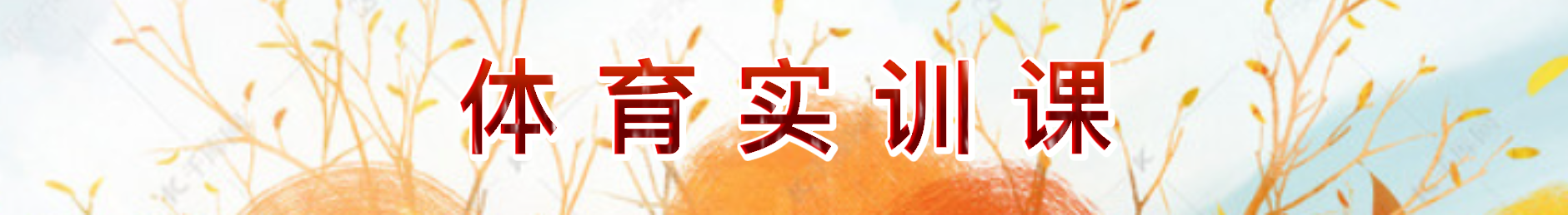 美狮贵宾会